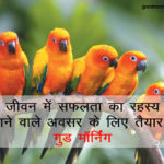 Good-Morning-Birds-Images-shubh-prabhat-Panchiyon-ki-pic