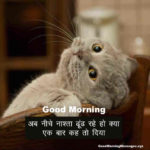 Best Subah Ke Liye Majedar Shayari Good morning Shayari in Hindi funny