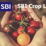 crop loan sbi give loan aginst crop stored in warehouse