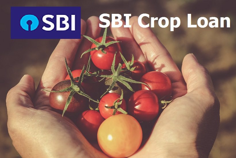 crop loan sbi give loan aginst crop stored in warehouse