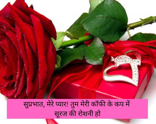 Good Morning Love Images For Girlfriend in Hindi